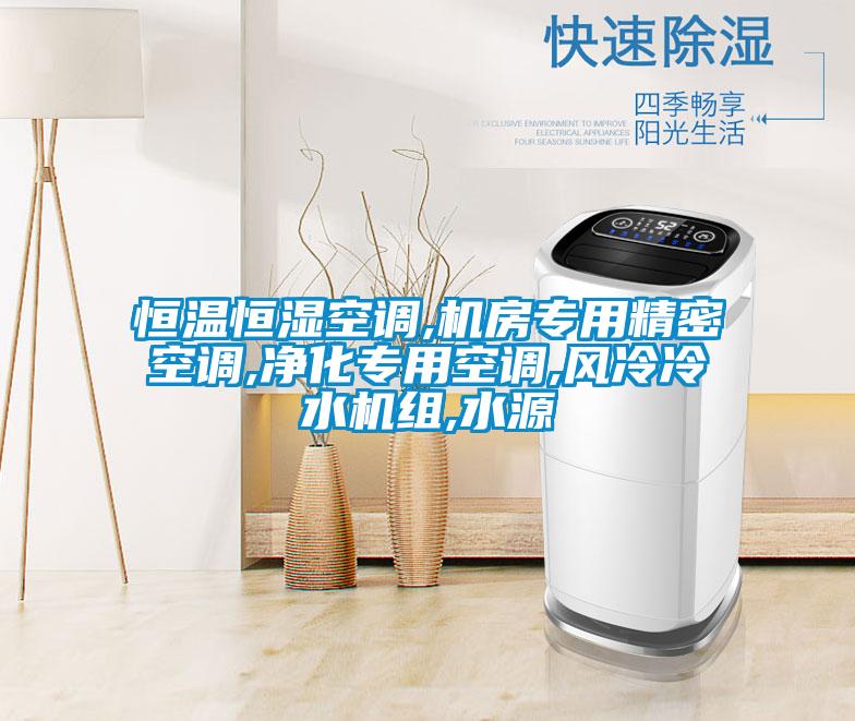 恒溫恒濕空調(diào),機房專用精密空調(diào),凈化專用空調(diào),風冷冷水機組,水源