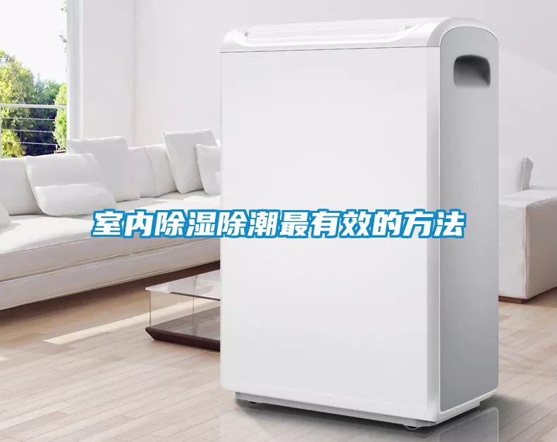 室內除濕除潮最有效的方法