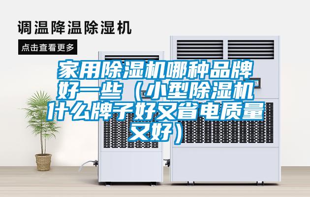 家用除濕機哪種品牌好一些(小型除濕機什么牌子好又省電質量又好)