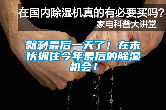 就剩最后一天了！在末伏抓住今年最后的除濕機會！