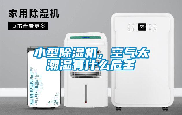 小型除濕機，空氣太潮濕有什么危害