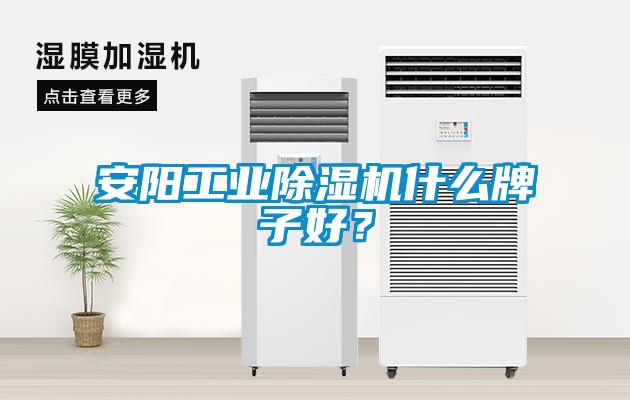 安陽(yáng)工業(yè)除濕機(jī)什么牌子好？