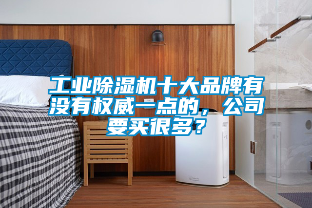 工業(yè)除濕機(jī)十大品牌有沒有權(quán)威一點(diǎn)的，公司要買很多？