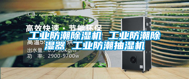 工業防潮除濕機 工業防潮除濕器 工業防潮抽濕機