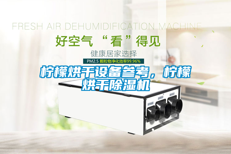 檸檬烘干設備參考，檸檬烘干除濕機
