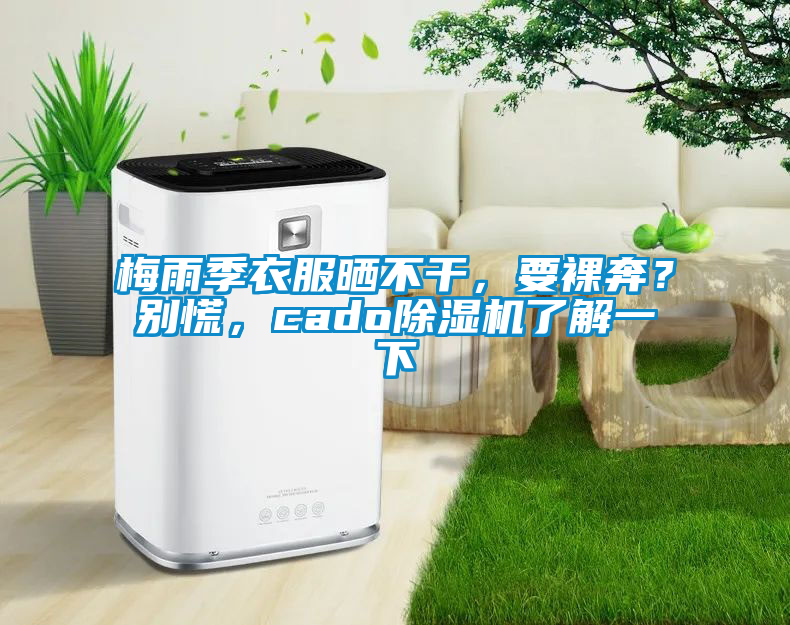 梅雨季衣服曬不干，要裸奔？別慌，cado除濕機(jī)了解一下