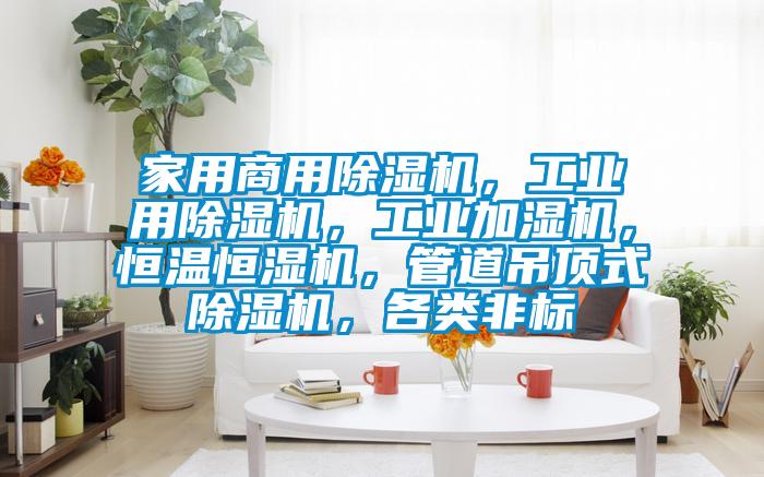 家用商用除濕機，工業(yè)用除濕機，工業(yè)加濕機，恒溫恒濕機，管道吊頂式除濕機，各類非標