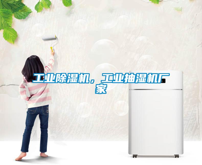 工業(yè)除濕機，工業(yè)抽濕機廠家