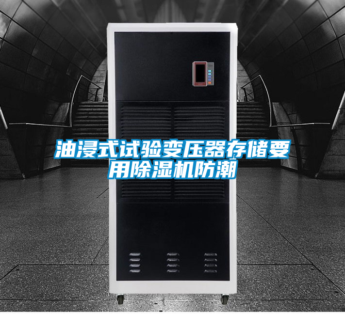 油浸式試驗變壓器存儲要用除濕機(jī)防潮