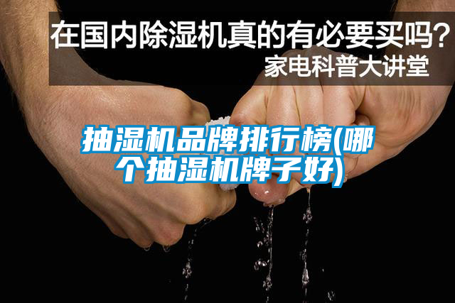 抽濕機(jī)品牌排行榜(哪個(gè)抽濕機(jī)牌子好)