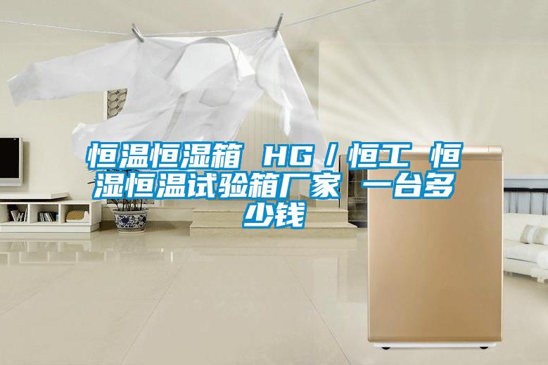 恒溫恒濕箱 HG／恒工 恒濕恒溫試驗(yàn)箱廠家 一臺(tái)多少錢(qián)