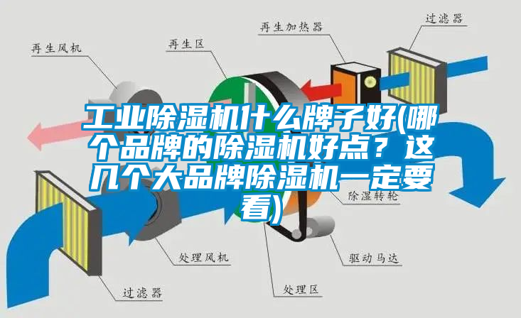 工業除濕機什么牌子好(哪個品牌的除濕機好點？這幾個大品牌除濕機一定要看)