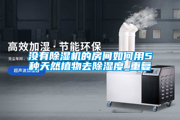 沒有除濕機的房間如何用5種天然植物去除濕度_重復