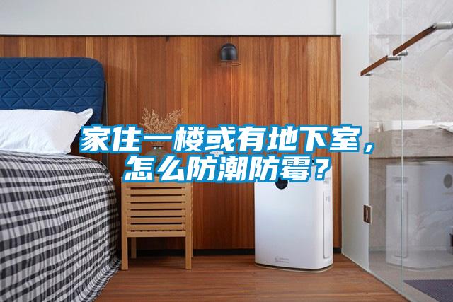 家住一樓或有地下室，怎么防潮防霉？