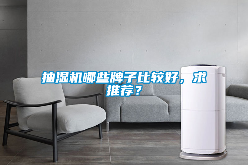 抽濕機哪些牌子比較好，求推薦？