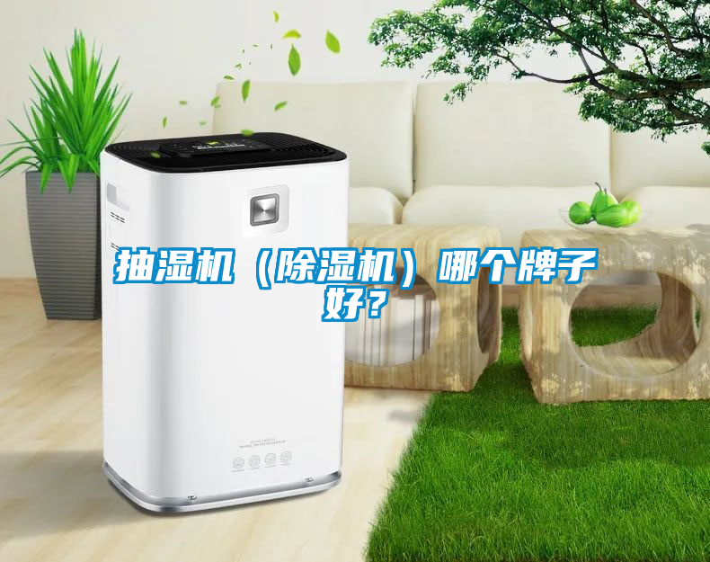 抽濕機(jī)（除濕機(jī)）哪個(gè)牌子好？