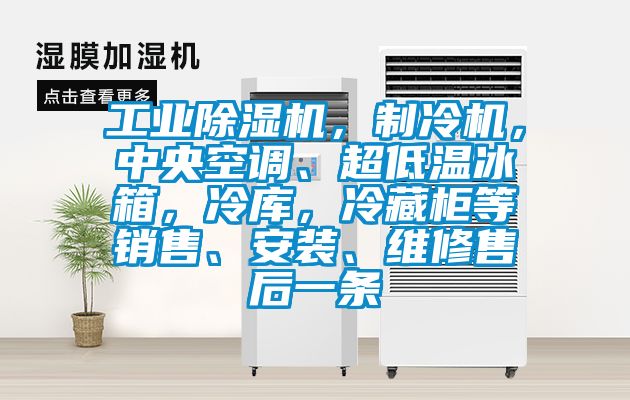 工業(yè)除濕機，制冷機，中央空調(diào)、超低溫冰箱，冷庫，冷藏柜等銷售、安裝、維修售后一條