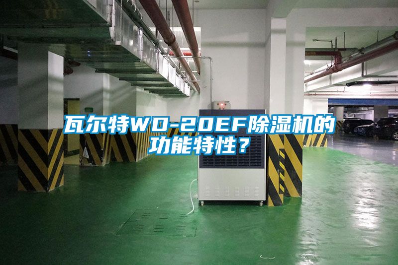 瓦爾特WD-20EF除濕機的功能特性？