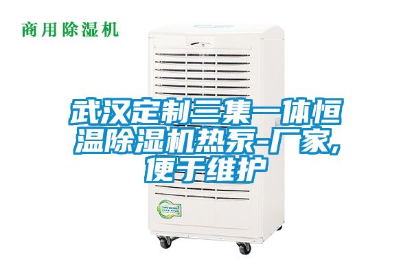 武漢定制三集一體恒溫除濕機(jī)熱泵-廠家,便于維護(hù)