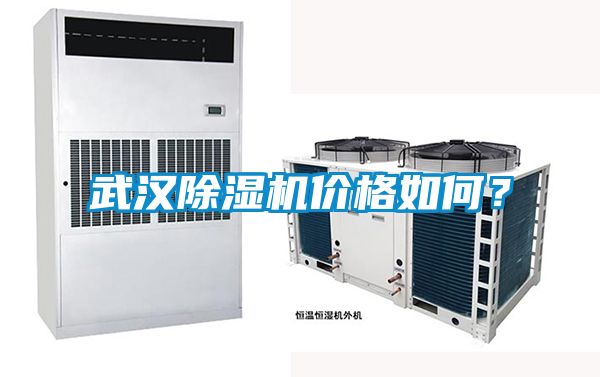 武漢除濕機(jī)價(jià)格如何？