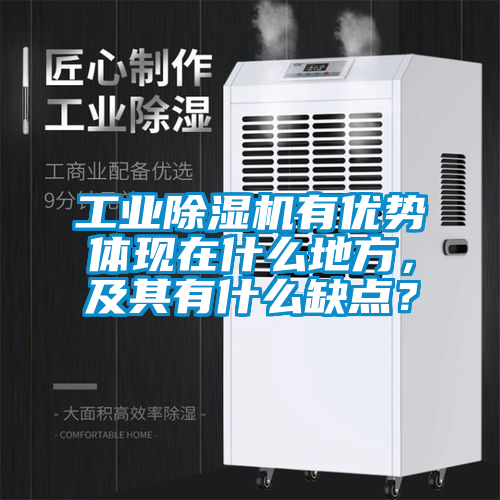 工業除濕機有優勢體現在什么地方，及其有什么缺點？