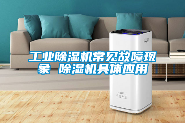 工業除濕機常見故障現象 除濕機具體應用