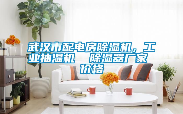 武漢市配電房除濕機,工業抽濕機 除濕器廠家 價格