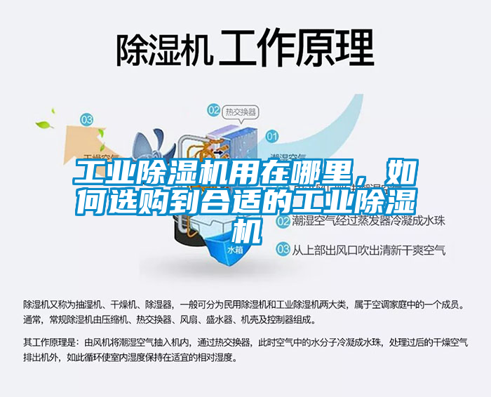 工業除濕機用在哪里，如何選購到合適的工業除濕機