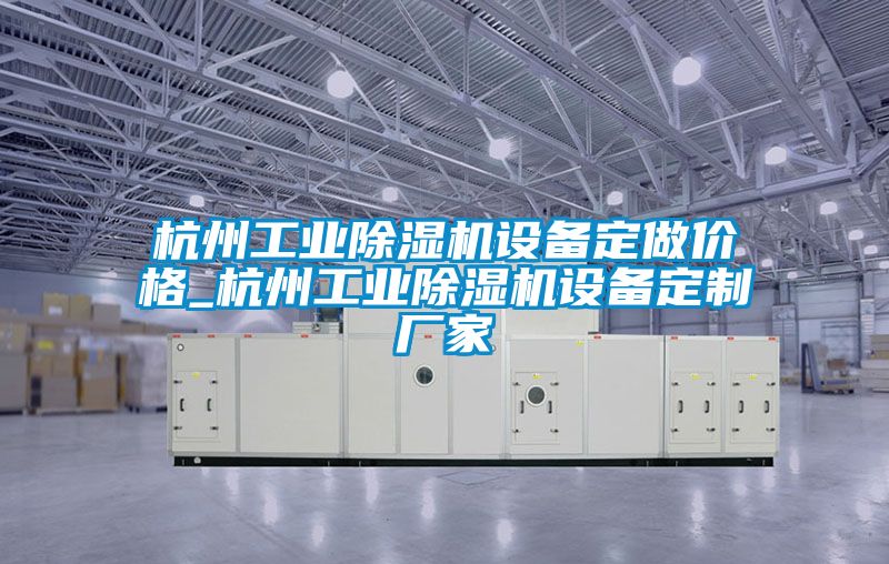 杭州工業(yè)除濕機(jī)設(shè)備定做價格_杭州工業(yè)除濕機(jī)設(shè)備定制廠家