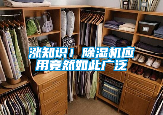 漲知識！除濕機應用竟然如此廣泛