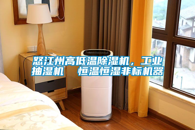怒江州高低溫除濕機，工業抽濕機  恒溫恒濕非標機器