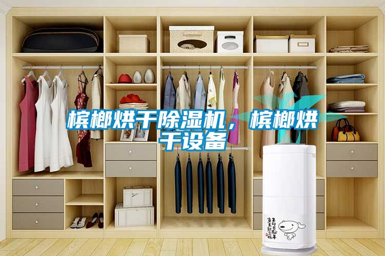 檳榔烘干除濕機(jī)，檳榔烘干設(shè)備
