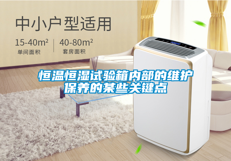 恒溫恒濕試驗箱內(nèi)部的維護(hù)保養(yǎng)的某些關(guān)鍵點