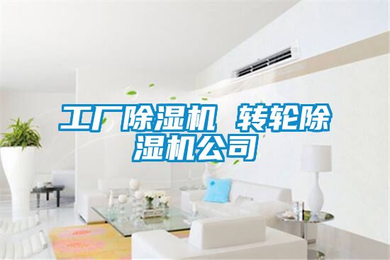 工廠(chǎng)除濕機(jī) 轉(zhuǎn)輪除濕機(jī)公司
