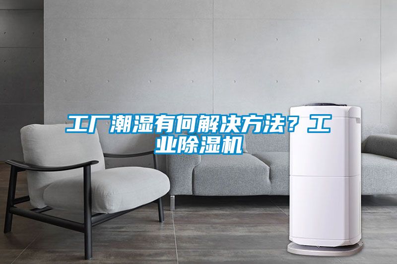 工廠潮濕有何解決方法？工業(yè)除濕機