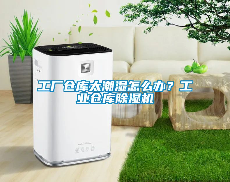 工廠倉庫太潮濕怎么辦？工業倉庫除濕機