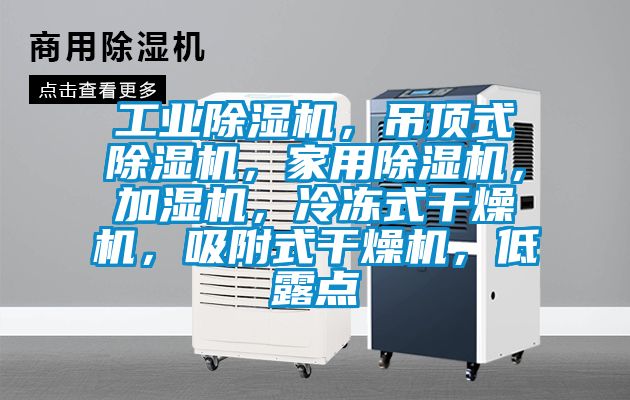 工業(yè)除濕機(jī)，吊頂式除濕機(jī)，家用除濕機(jī)，加濕機(jī)，冷凍式干燥機(jī)，吸附式干燥機(jī)，低露點(diǎn)