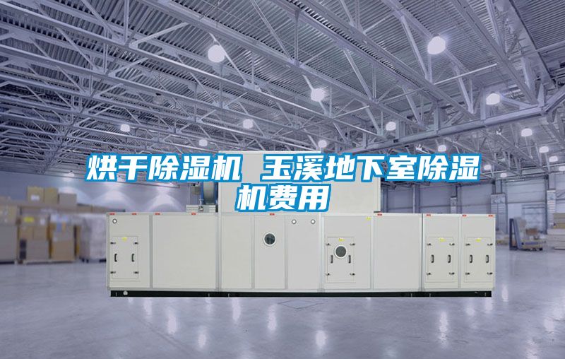 烘干除濕機(jī) 玉溪地下室除濕機(jī)費用
