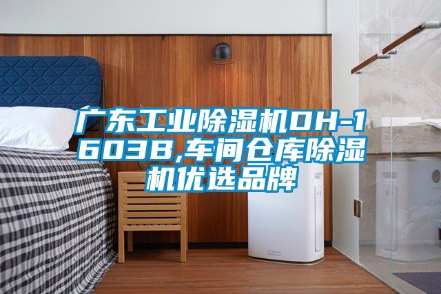 廣東工業除濕機DH-1603B,車間倉庫除濕機優選品牌
