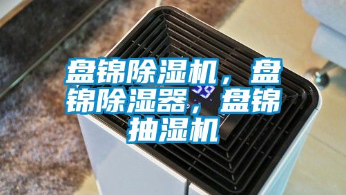 盤錦除濕機，盤錦除濕器，盤錦抽濕機