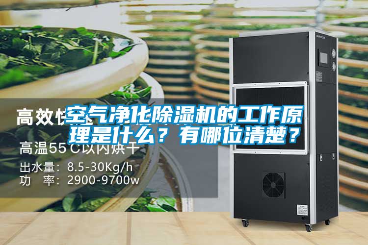 空氣凈化除濕機的工作原理是什么？有哪位清楚？