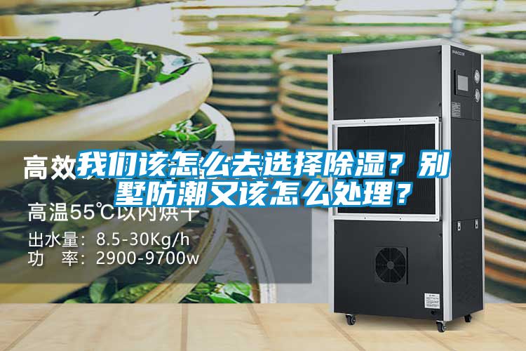 我們該怎么去選擇除濕？別墅防潮又該怎么處理？