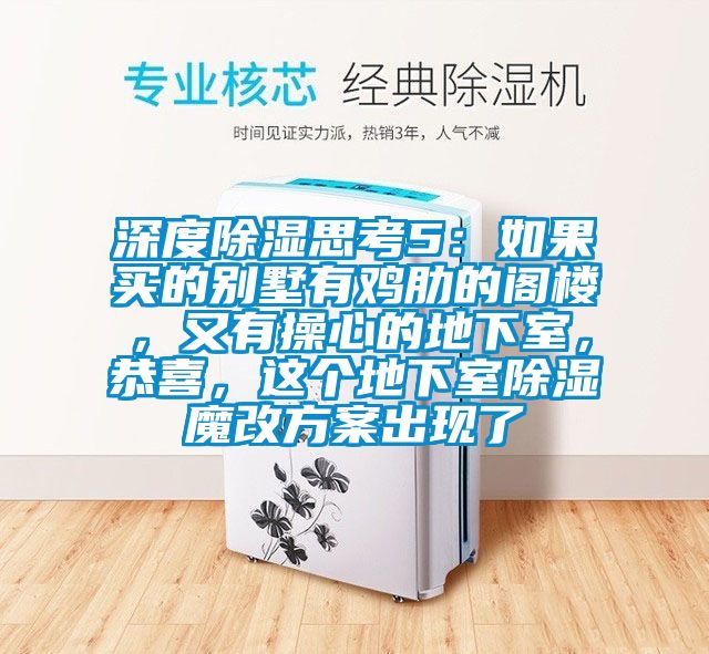 深度除濕思考5：如果買(mǎi)的別墅有雞肋的閣樓，又有操心的地下室，恭喜，這個(gè)地下室除濕魔改方案出現(xiàn)了