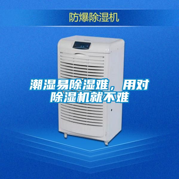 潮濕易除濕難，用對除濕機就不難