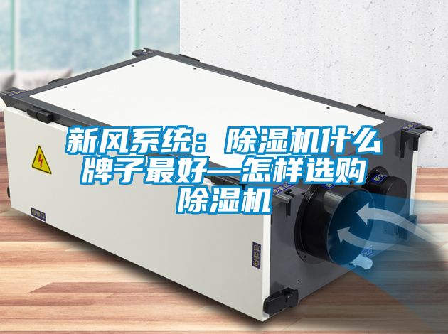 新風系統：除濕機什么牌子最好—怎樣選購除濕機