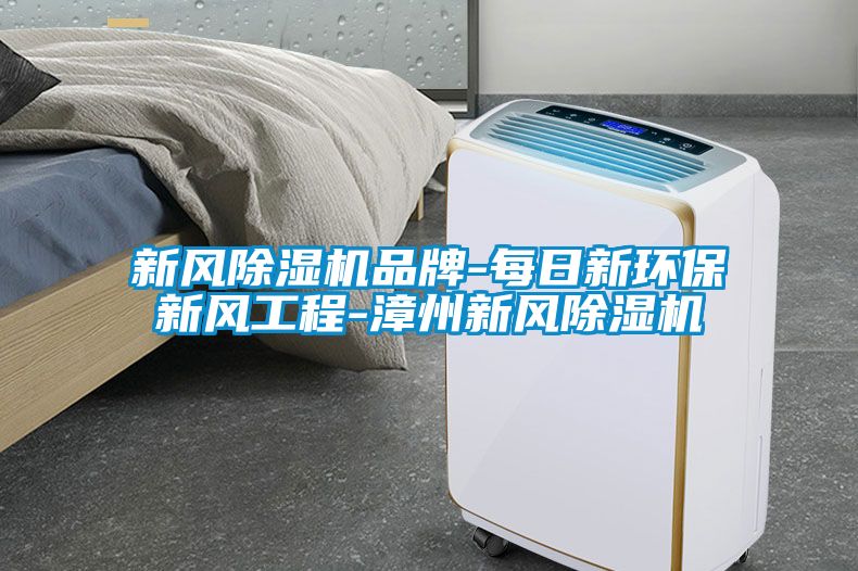 新風除濕機品牌-每日新環保新風工程-漳州新風除濕機
