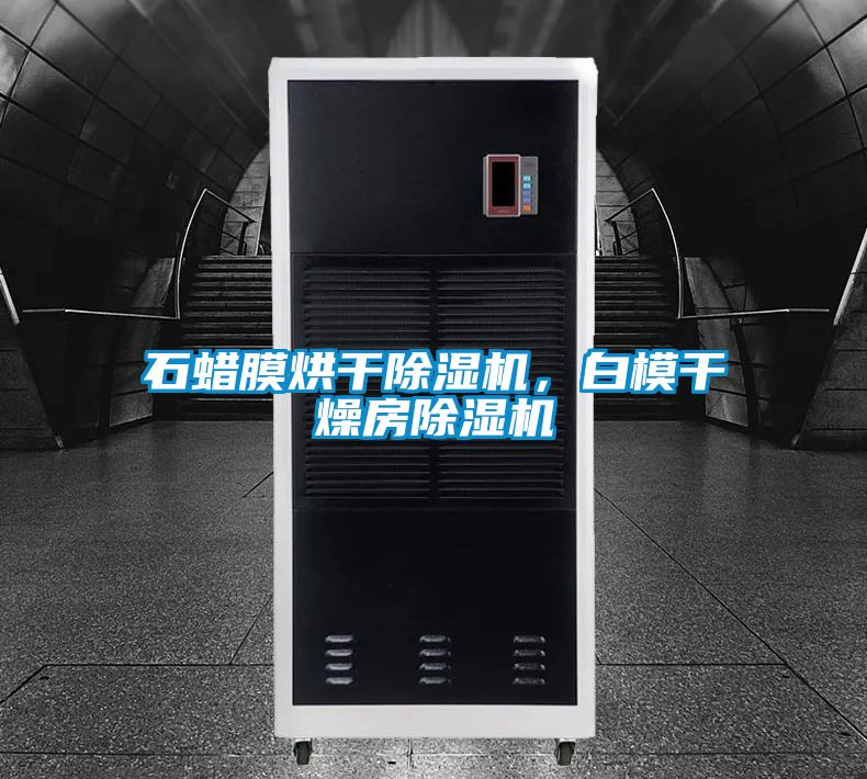 石蠟?zāi)ず娓沙凉駲C(jī)，白模干燥房除濕機(jī)