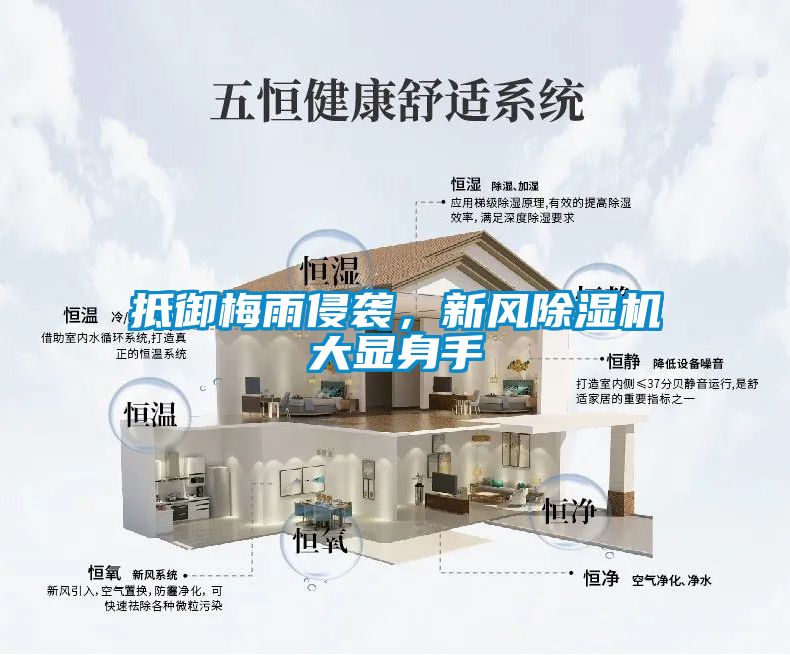 抵御梅雨侵襲，新風(fēng)除濕機(jī)大顯身手