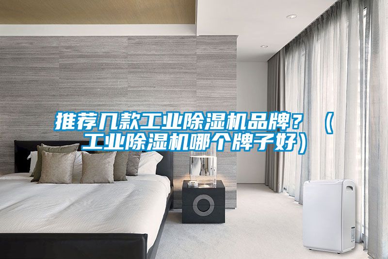 推薦幾款工業除濕機品牌？（工業除濕機哪個牌子好）