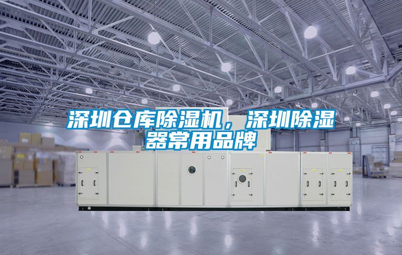 深圳倉(cāng)庫(kù)除濕機(jī)，深圳除濕器常用品牌